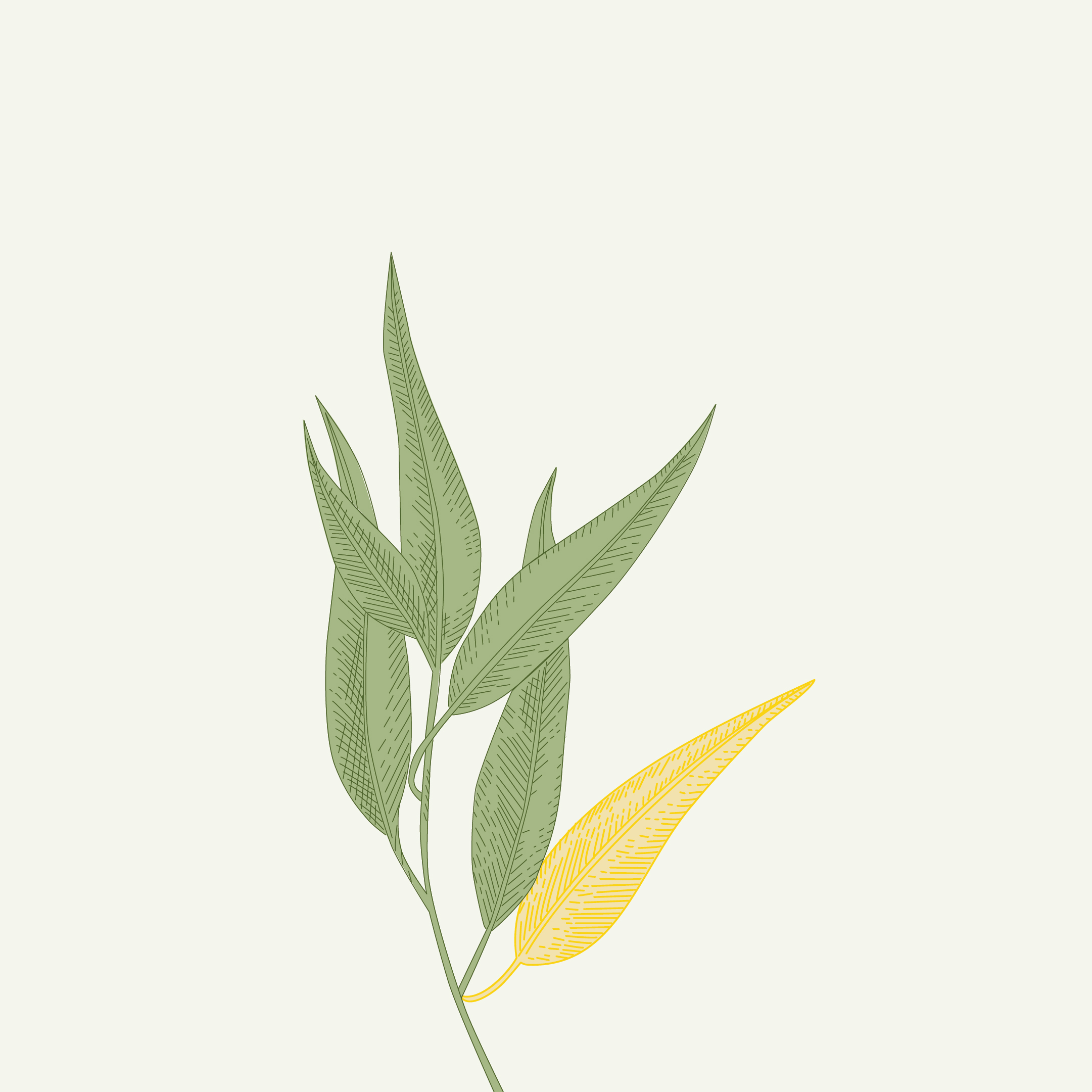 Artboard 1 Copy 2@2X 100