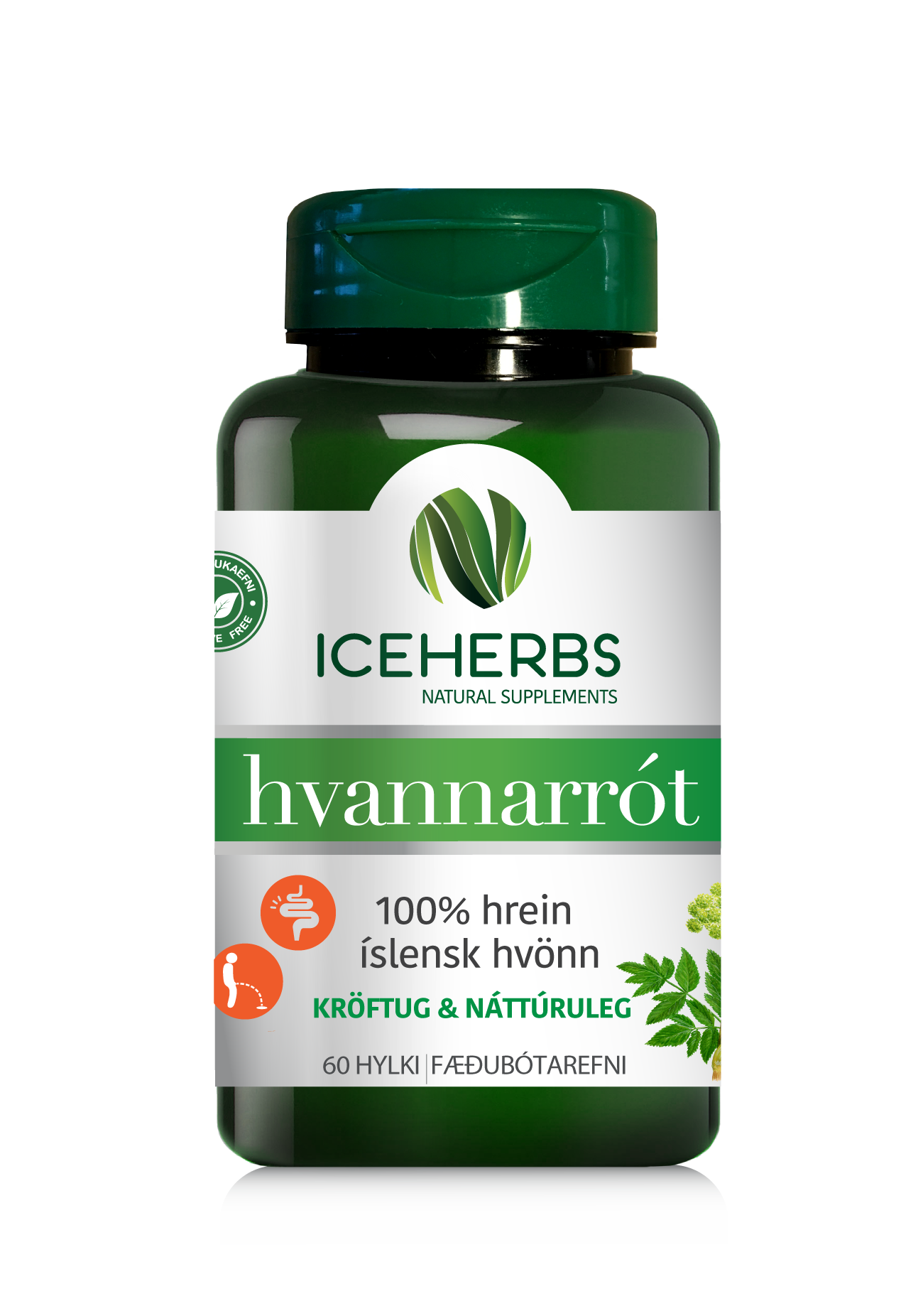 Iceherbs Hvannarrót 60 hylki