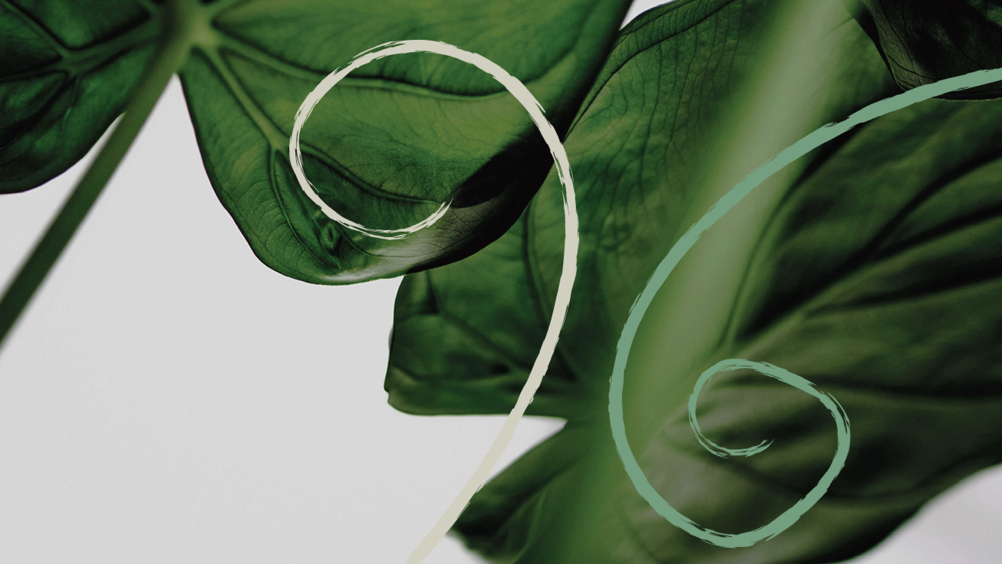 Lyfjaheyrn 1920X1080 19