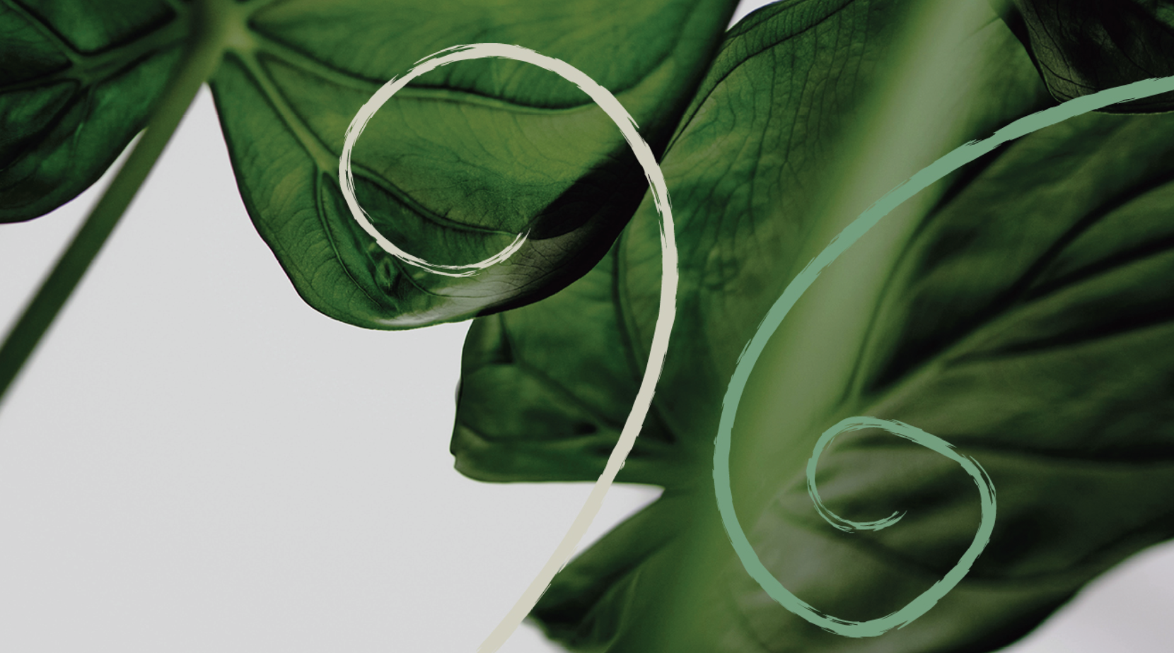 Lyfjaheyrn 1920X1080 19