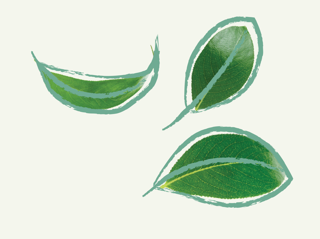 1920X1080 Hreyfing 12