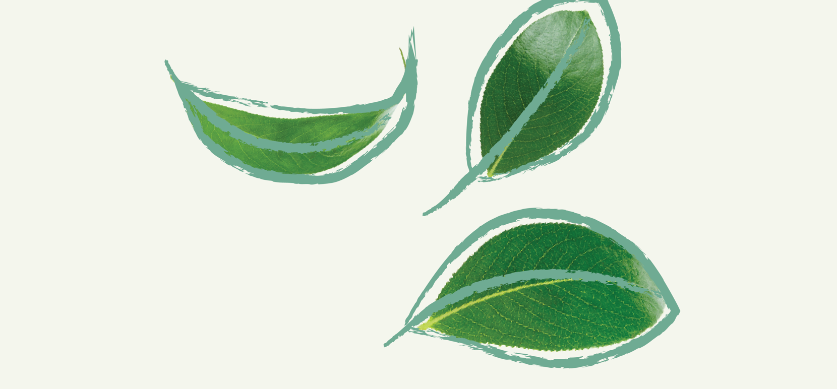 1920X1080 Hreyfing 12