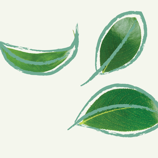 1920X1080 Hreyfing 12