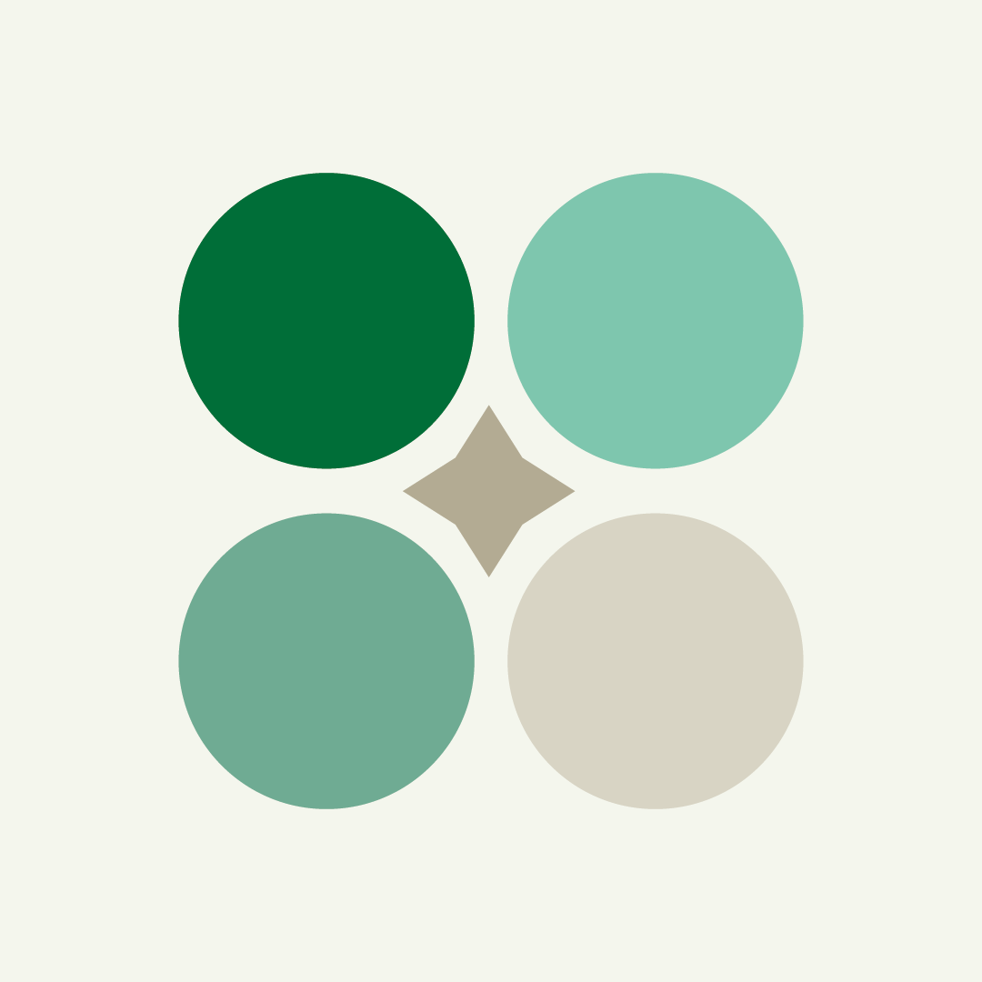 Radstefnu Icon 02