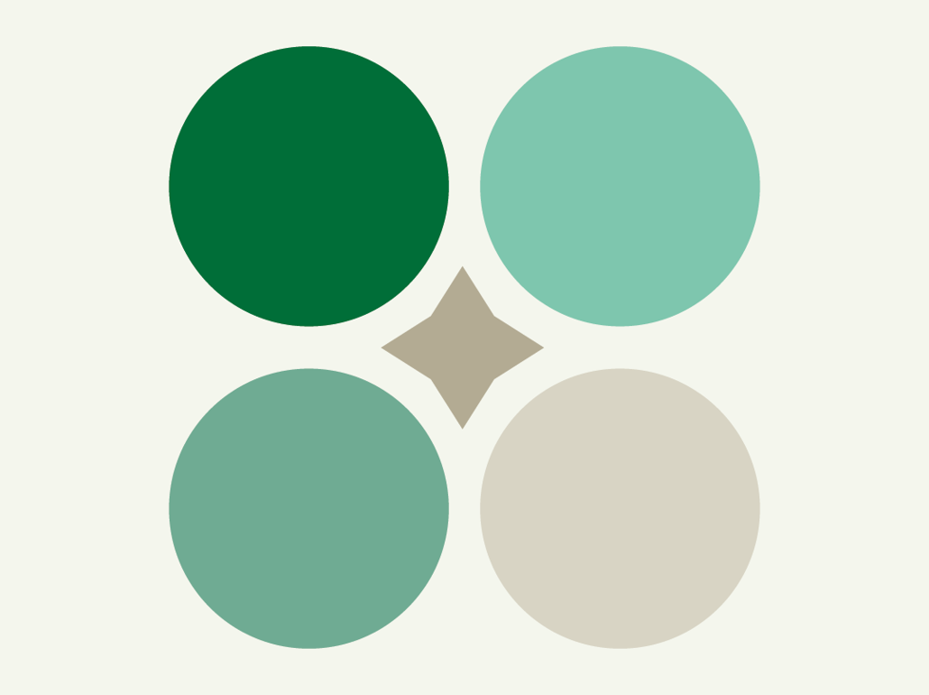 Radstefnu Icon 02