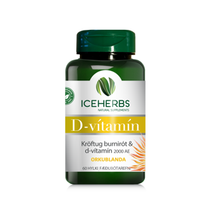 Iceherbs D-vítamín 2000AE & íslenskri burnirót 60 hylki