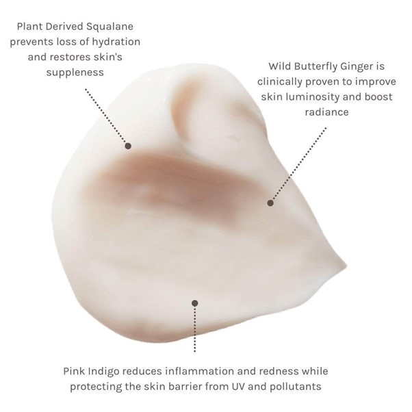 Evolve Hydrate and Protect Facial Cream 60 ml. (1)