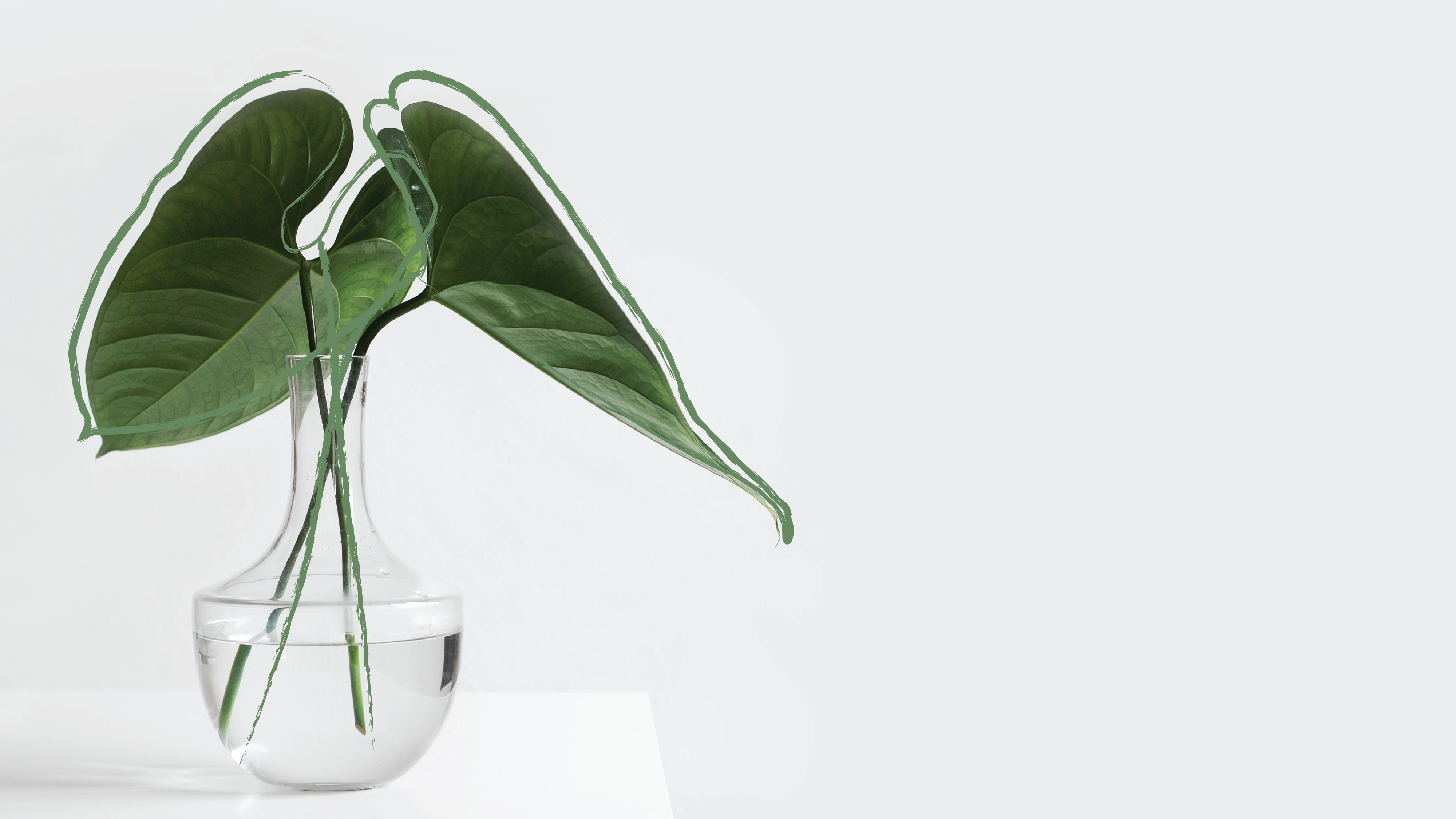 1920X1080 Appid 21 (1)