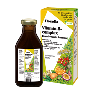 Salus Floradix Vitamin B-Complex 250 ml.