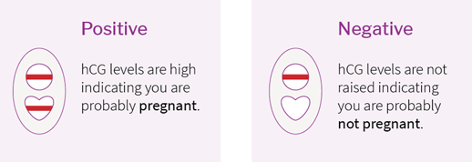 Babystart Pregnancy Early Detection þungunarpróf 2 stk. (2)