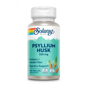 Solary Psyllium Husk 500mg 100 hylki