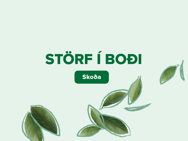 Storf Ibodi