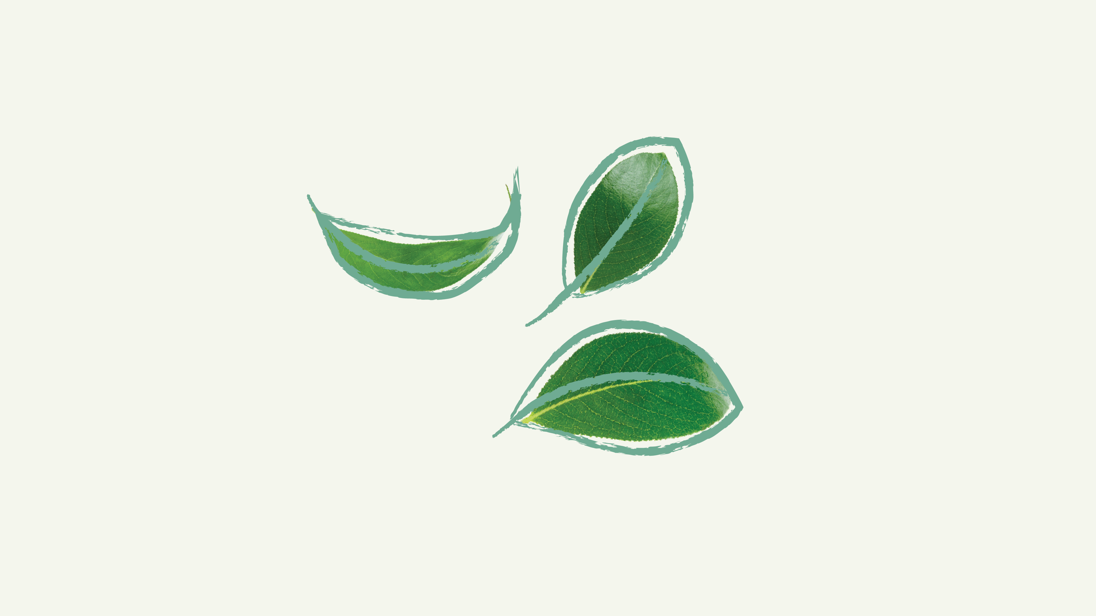 Myndir Lyfja.Is 1920X1080 Hreyfing 12