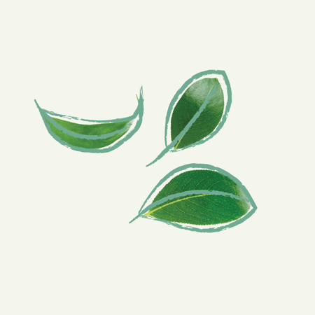 Myndir Lyfja.Is 1920X1080 Hreyfing 12