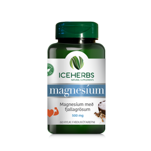 Iceherbs Magnesíum með fjallagrösum 60 hylki