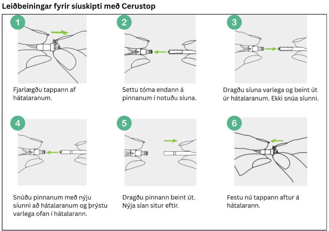 VIÐHALD Umhirda SIUR DOME RESET