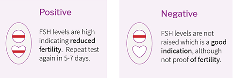 Babystart FertilCheck frjósemispróf 2 stk. (2)