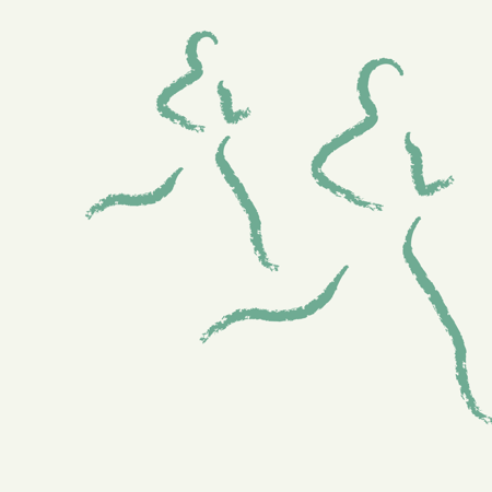 Myndir Lyfja.Is 1920X1080 Hreyfing 13