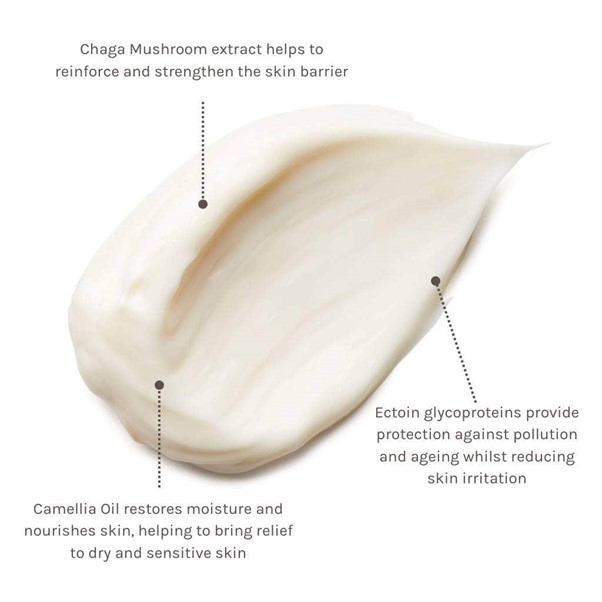 Evolve Pro + Ectoin Soothing Cream 60 ml. (2)