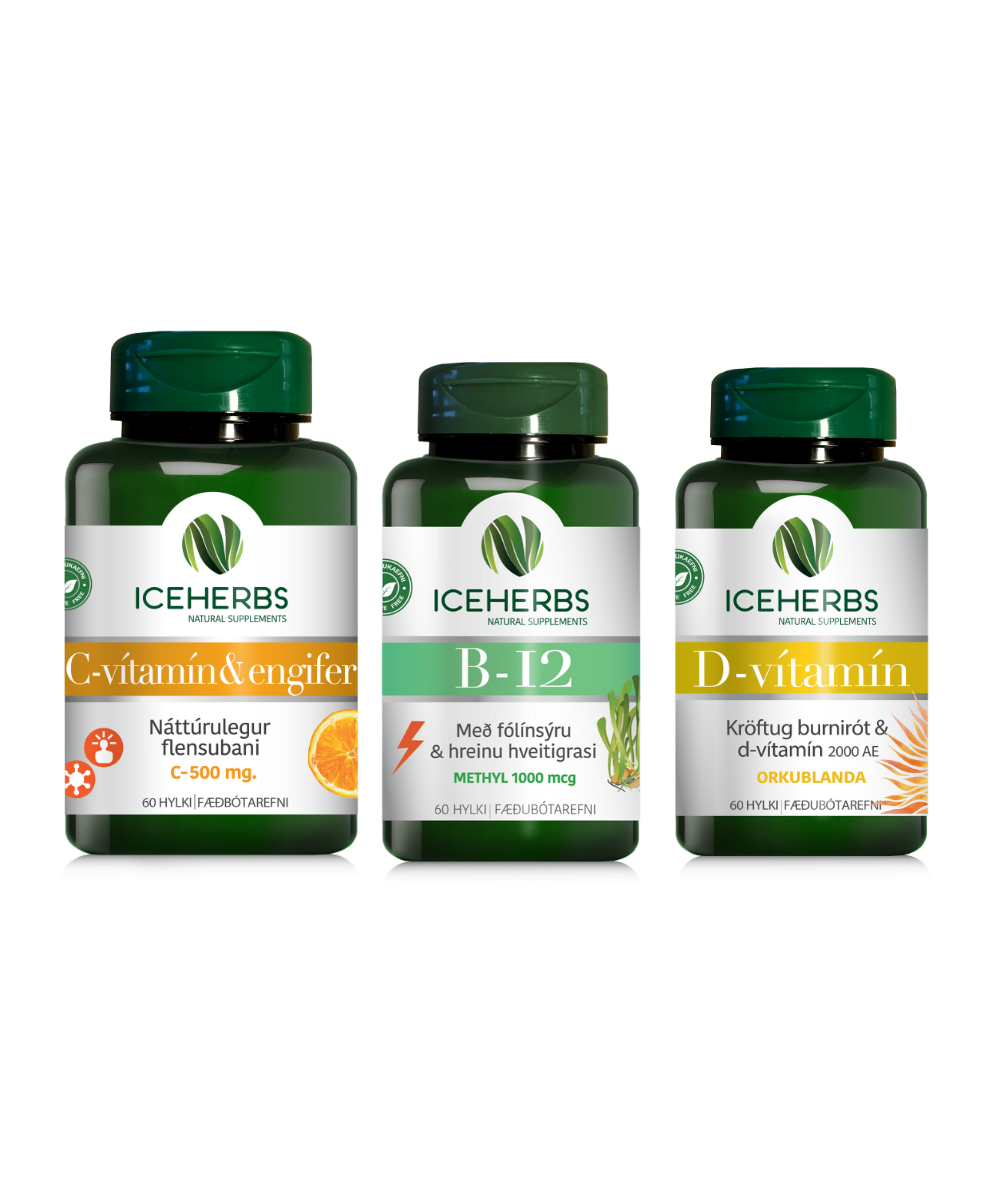 Daglegi Pakkinn Transparent 1