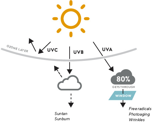 Mádara Plant Stem Cell Ultra-Shield Sólarvarnir andlit SPF50, 40 ml. (2)