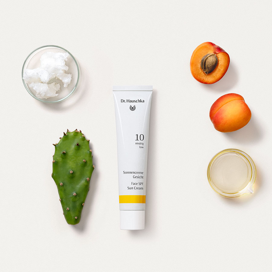 Dr. Hauschka dagkrem með Sólarvarnir SPF10, 40 ml. (2)