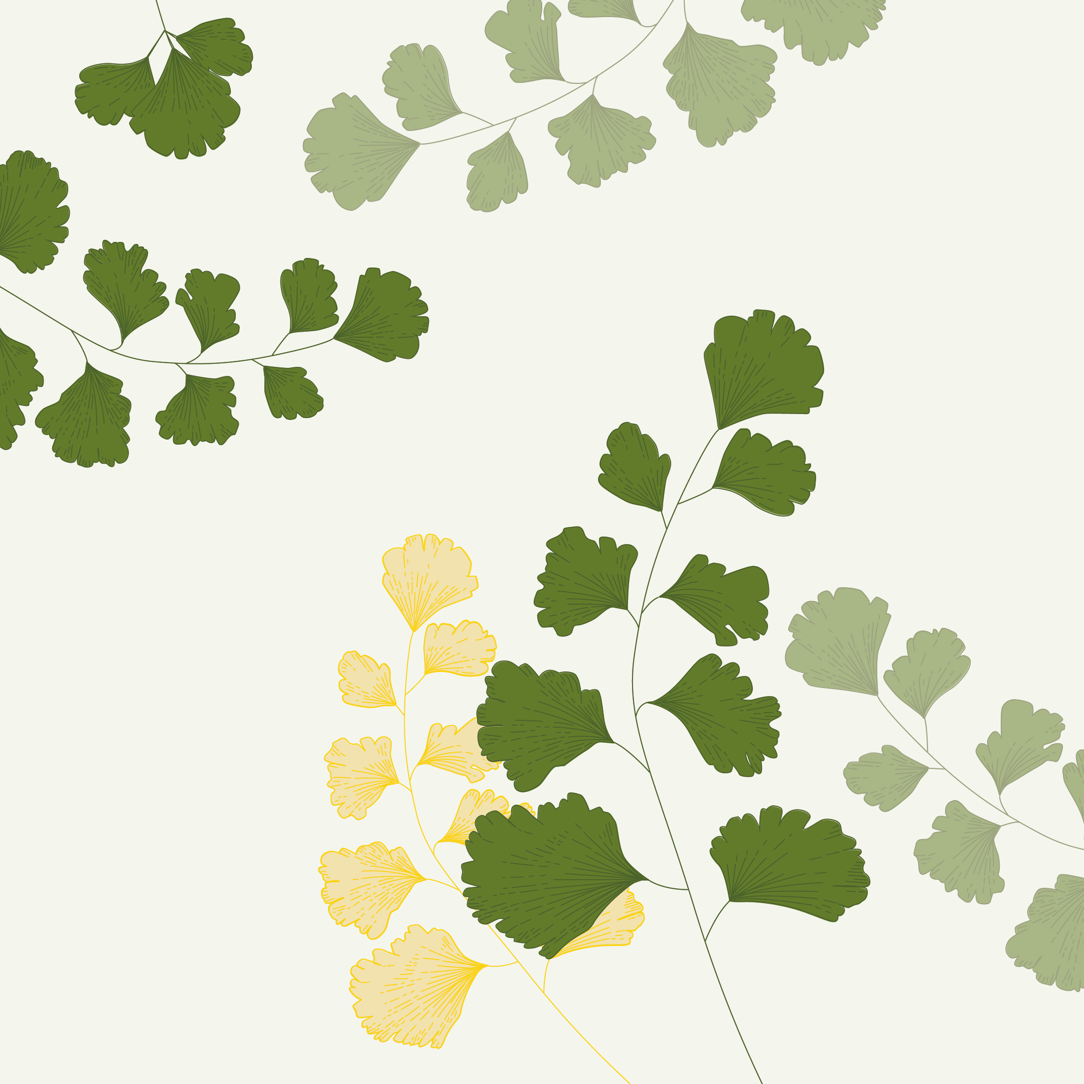 Artboard 1 Copy@2X 100