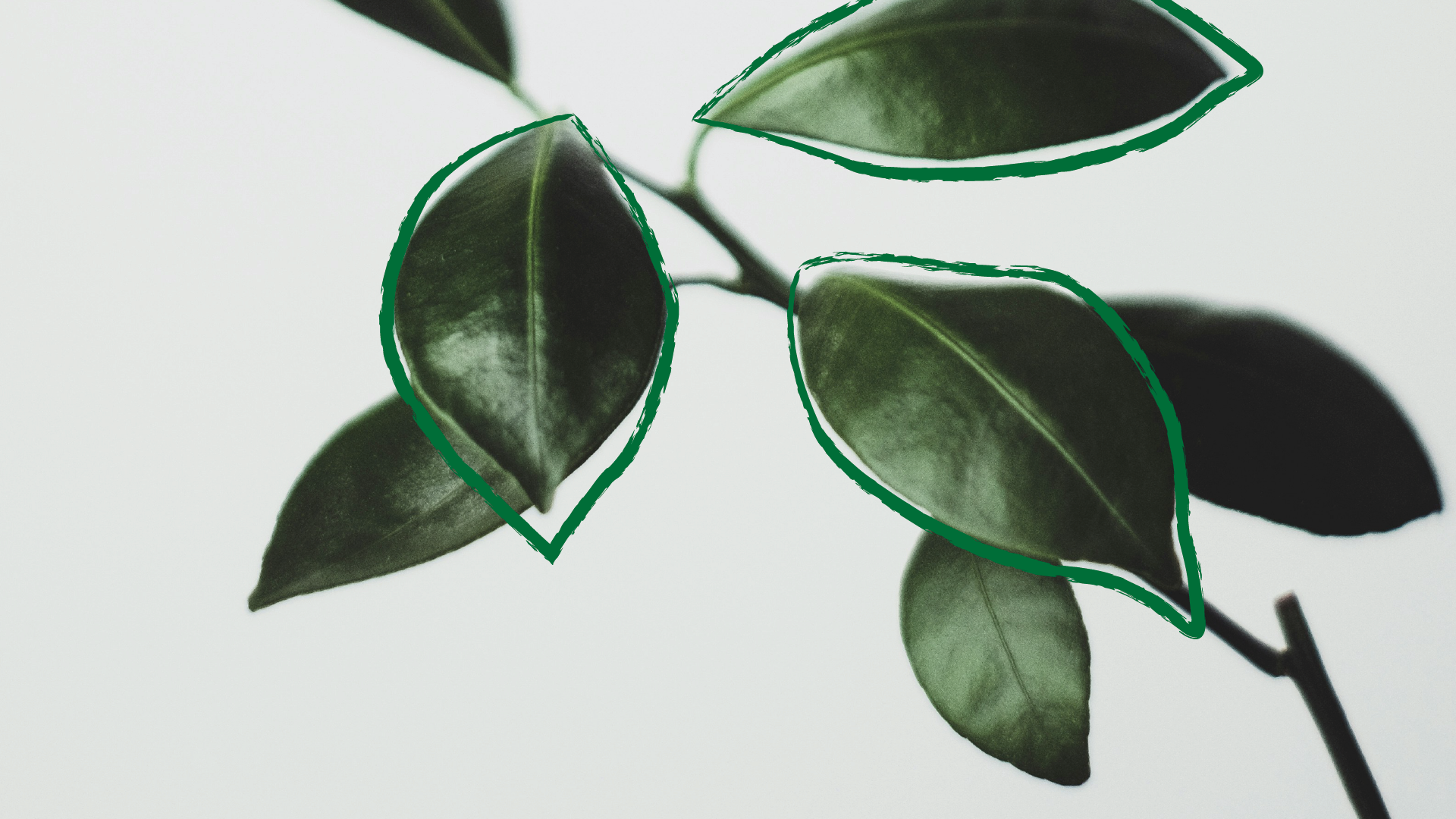 Planta2 1920X1080