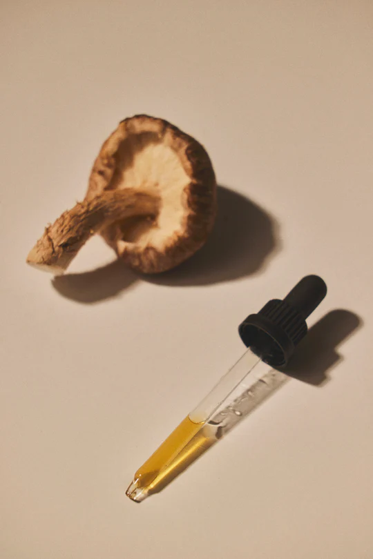 Shiitake sveppadropar #Útgeislun (1)