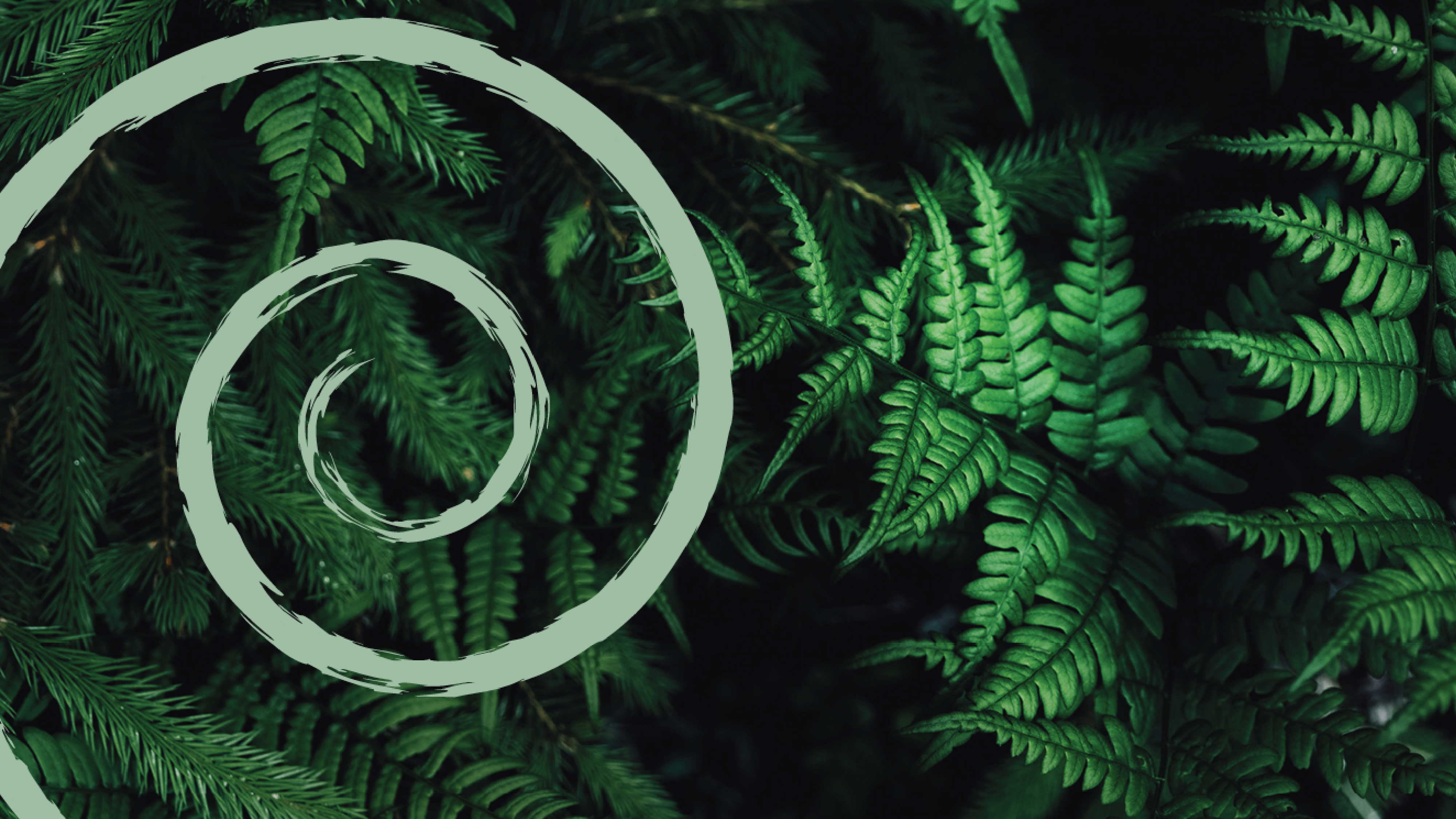 Lyfjaheyrn 1920X1080 22