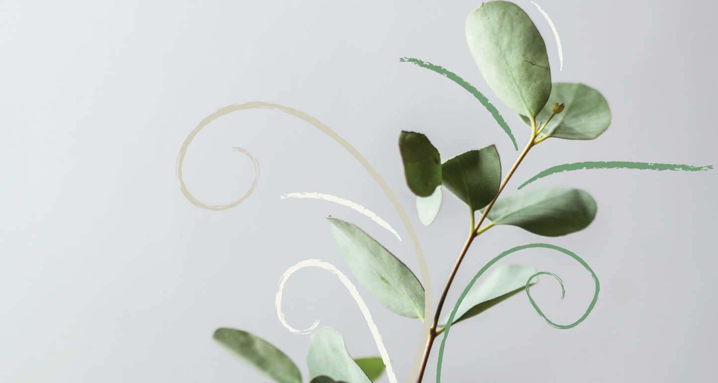 1920X1080 Planta Strokur