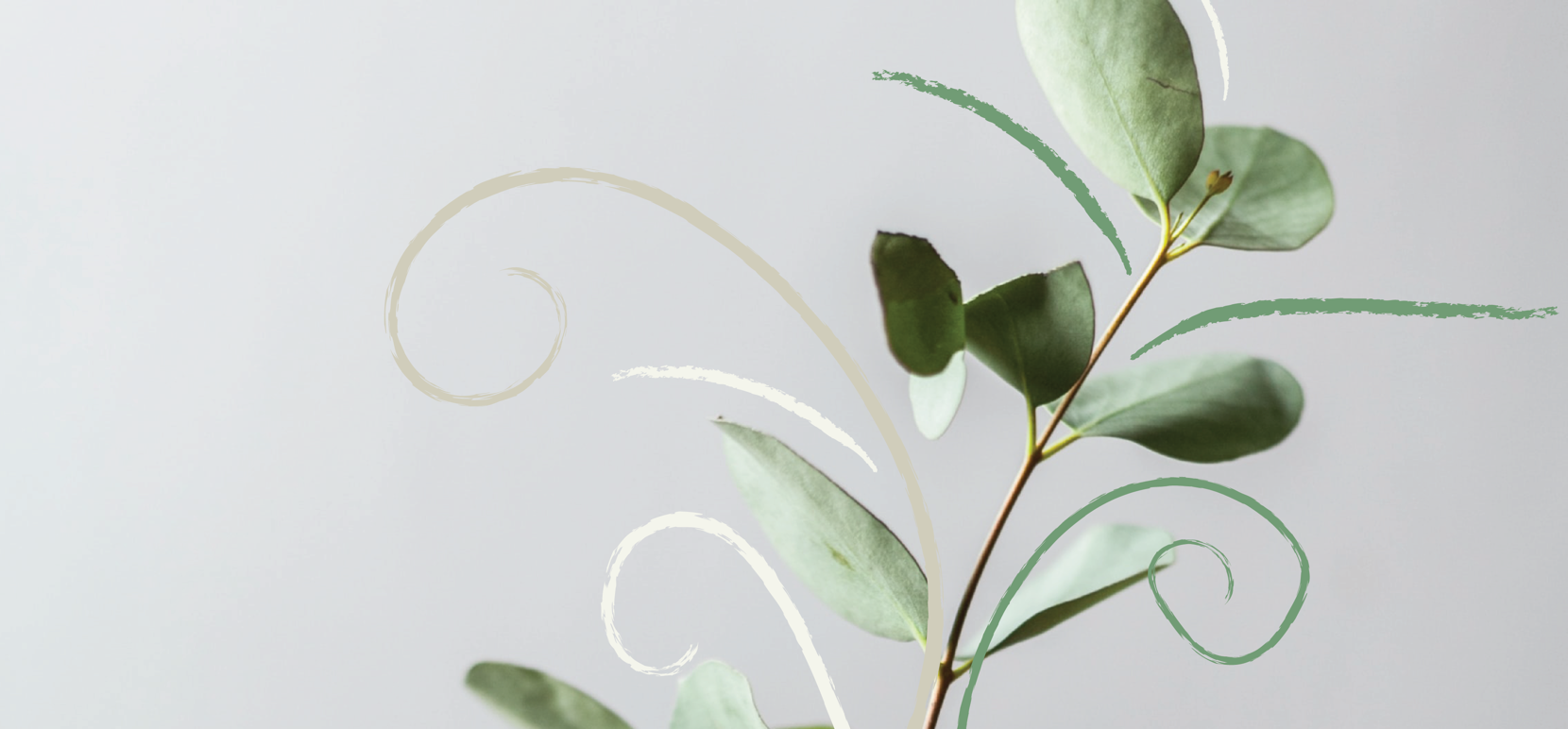 1920X1080 Planta Strokur