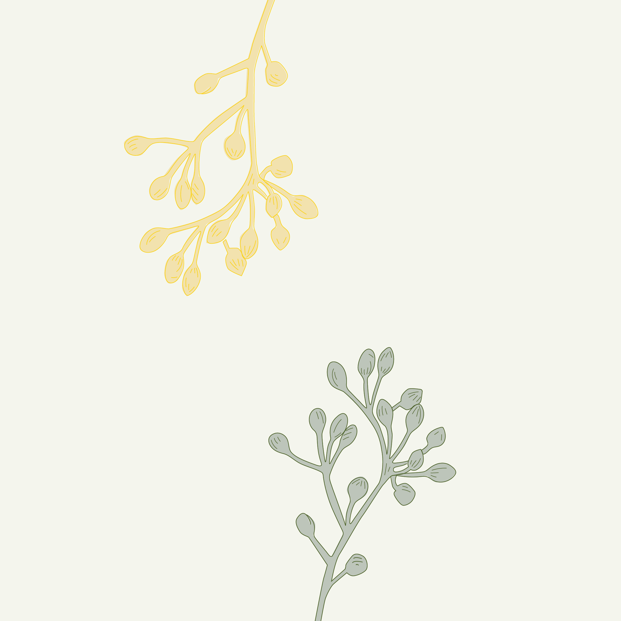 Artboard 1 Copy 10@2X 100