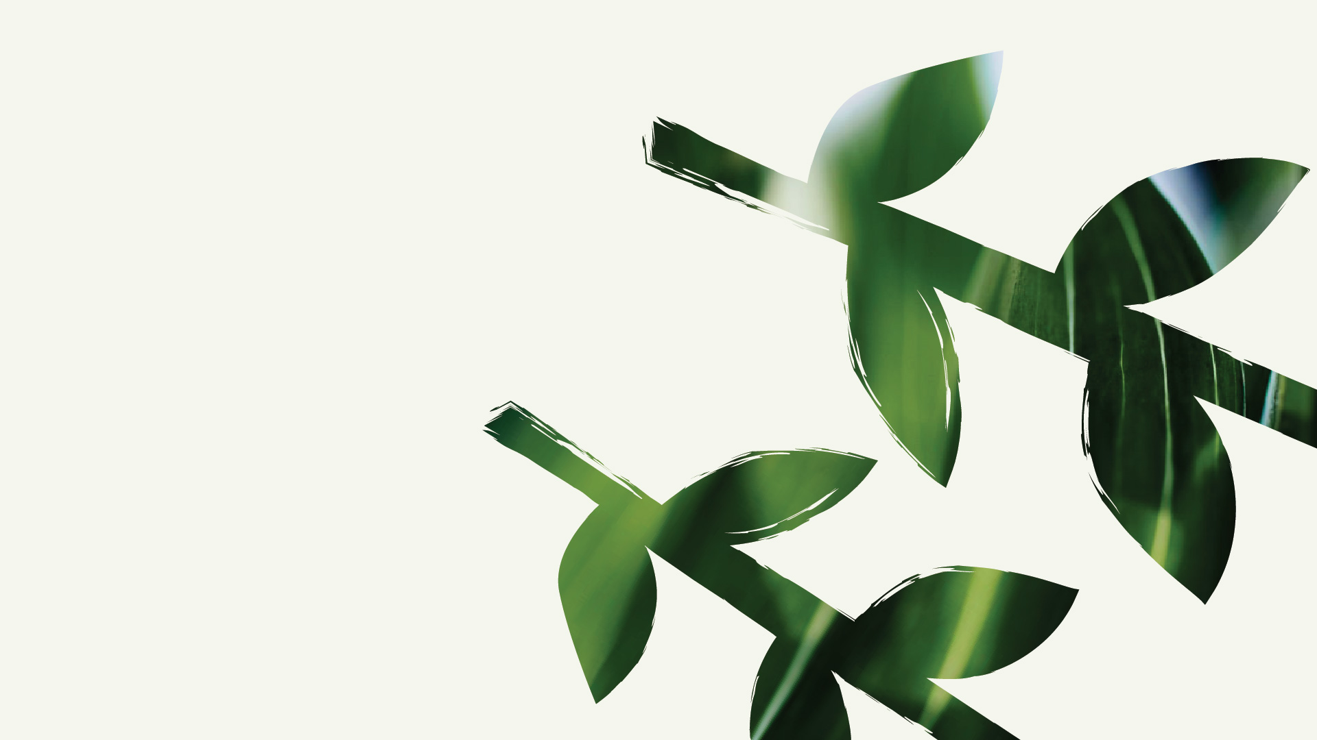 Naeruma Almennt Lyfja.Is